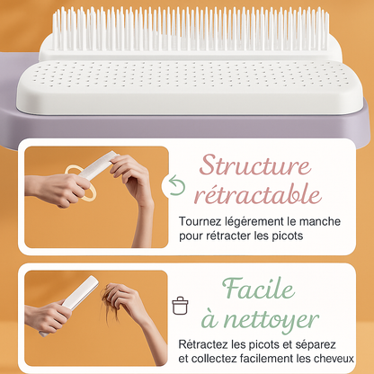 Brosse Auto-Nettoyante SmallyBeauty
